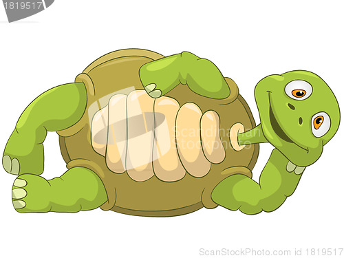 Image of Funny Turtle. Lie.