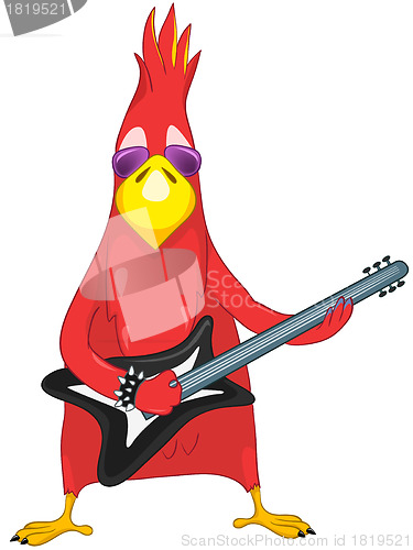 Image of Funny Parrot. Rock Star