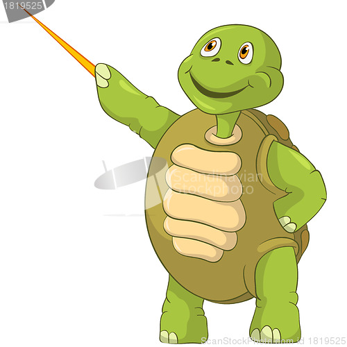 Image of Funny Turtle. Showing.