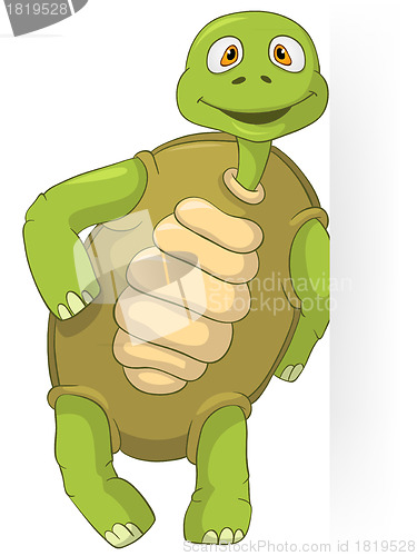 Image of Funny Turtle.