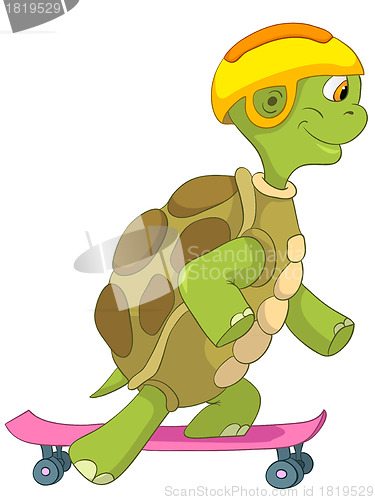 Image of Funny Turtle. Skateboarding.