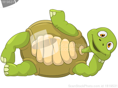 Image of Funny Turtle. Lie.