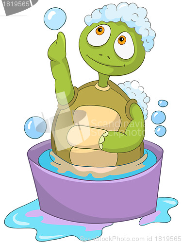 Image of Funny Turtle. Baby Washing