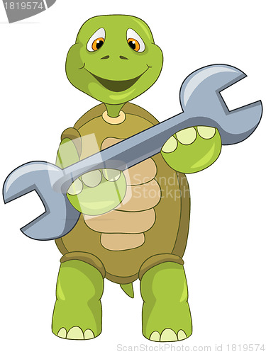 Image of Funny Turtle. Support.