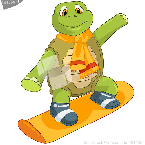 Image of Funny Turtle. Snowboarding.