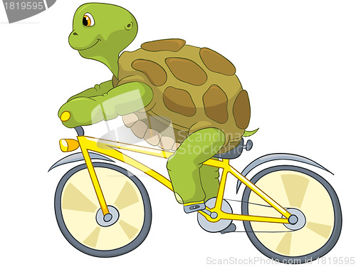 Image of Funny Turtle. Biker.