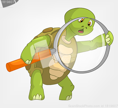 Image of Funny Turtle. Finding.