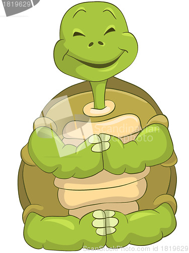 Image of Funny Turtle