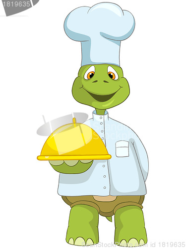 Image of Funny Turtle. Chef.