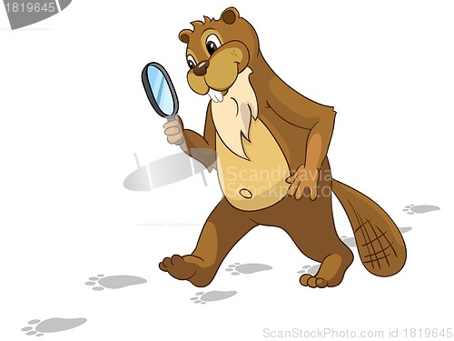 Image of Beaver CREES. Look for Funny Beaver by Keyword "CREES".