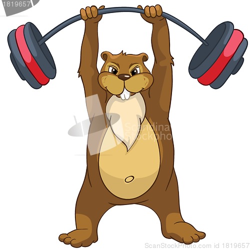 Image of Beaver CREES