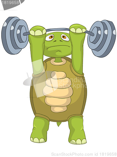 Image of Funny Turtle. Gym.