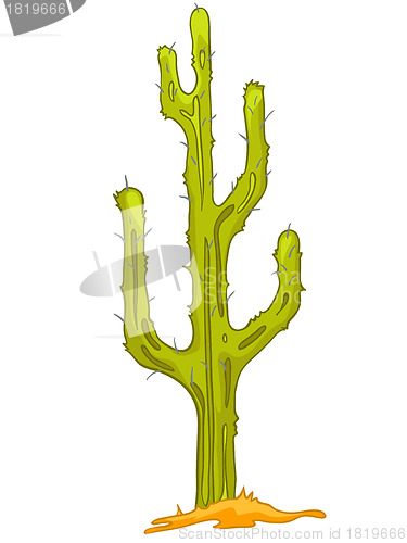 Image of Cartoon Nature Plant Cactus