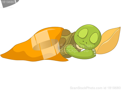 Image of Funny Turtle. Baby Sleeping