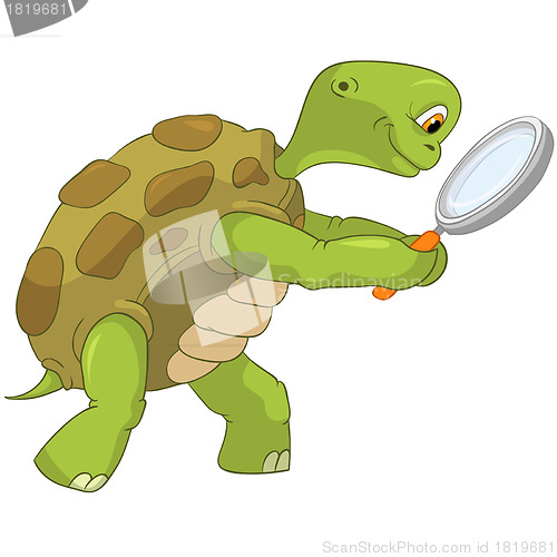 Image of Funny Turtle. Finding.