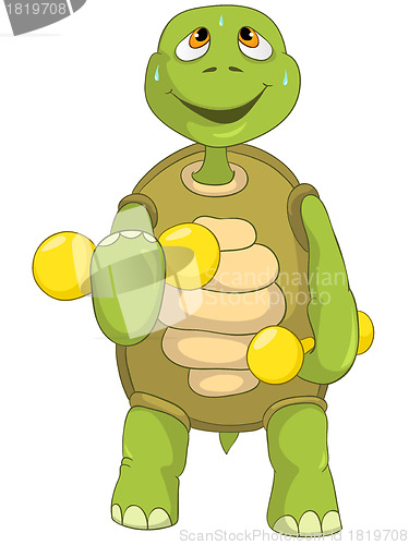 Image of Funny Turtle. Gym.