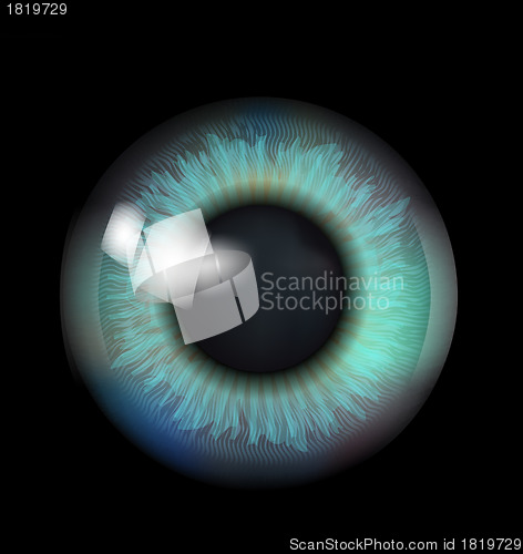 Image of Beautiful Eyeball 