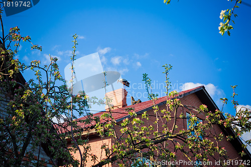 Image of beautiful stork stand on roof