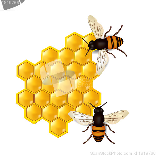 Image of honeycombs with honey bees 