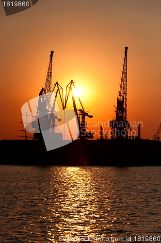 Image of Cranes at Sunset