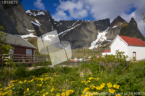 Image of Fishing port on Lofoten