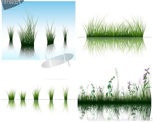 Image of grass on water