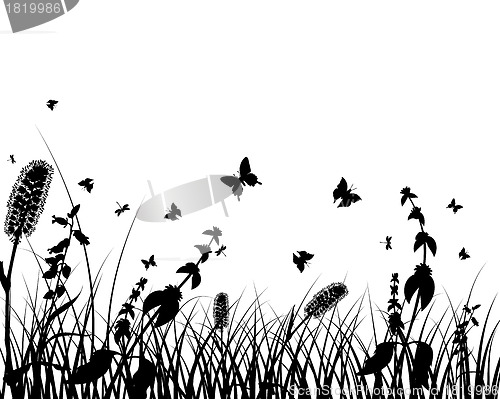 Image of meadow silhouettes