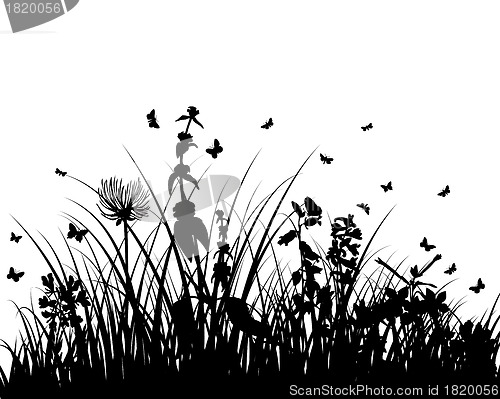 Image of meadow silhouettes