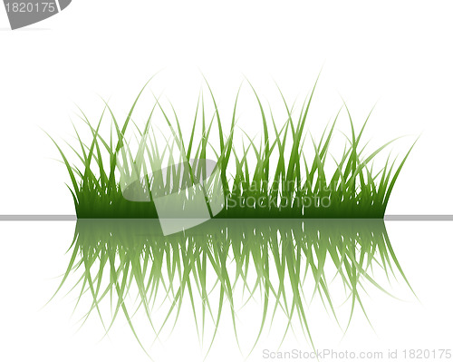 Image of grass on water