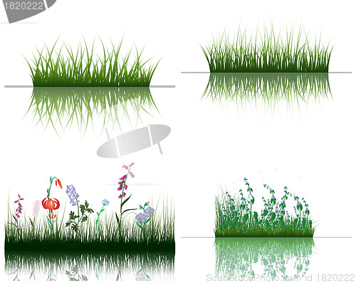 Image of grass on water