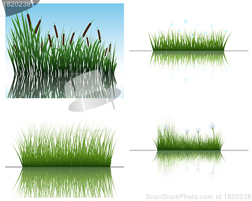 Image of grass on water