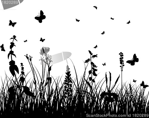 Image of meadow silhouettes