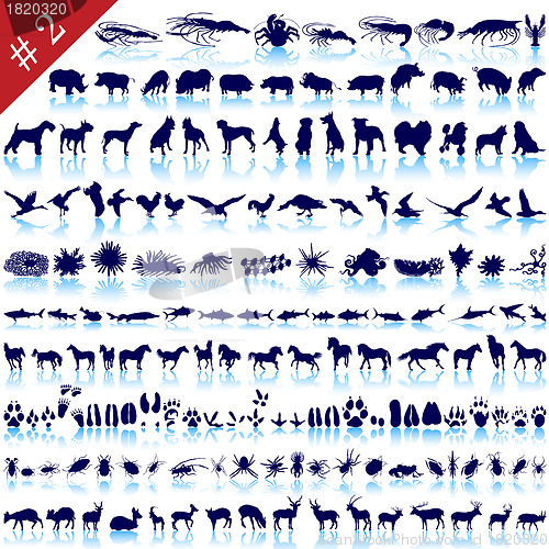 Image of set of animal silhouettes