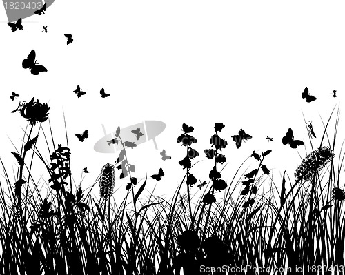 Image of meadow silhouettes