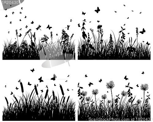 Image of meadow silhouettes