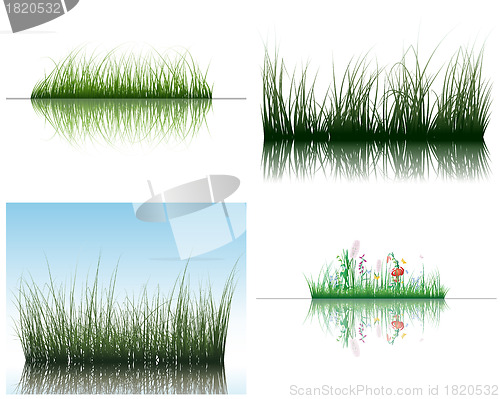 Image of grass on water