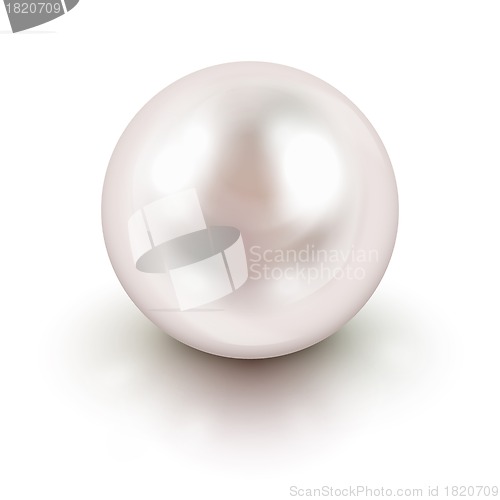 Image of White pearl