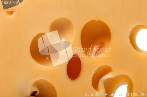 Image of Slice of cheese close-up view