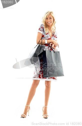 Image of shopping lady #2