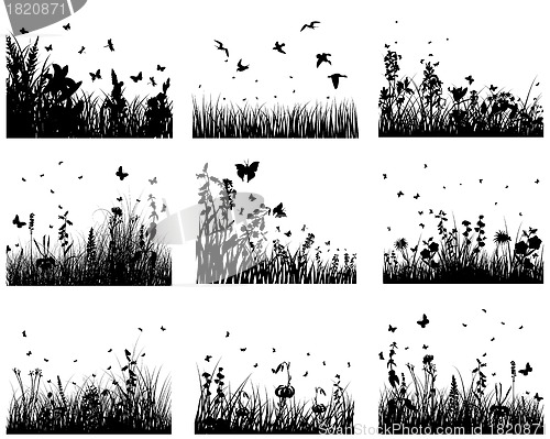 Image of meadow silhouettes