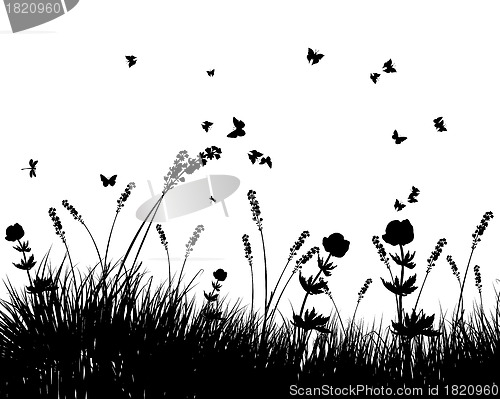 Image of meadow silhouettes