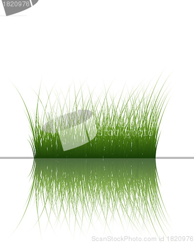 Image of grass on water