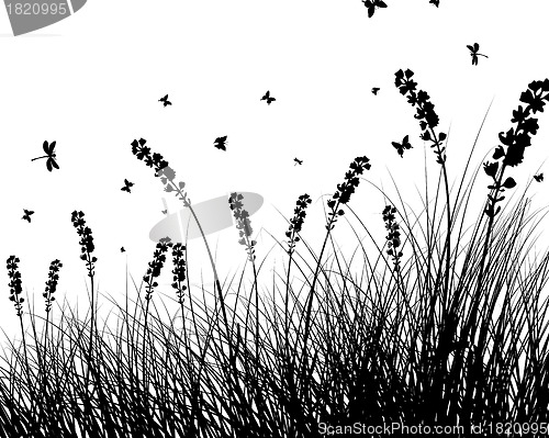 Image of meadow silhouettes