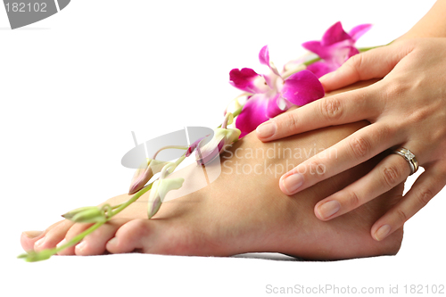 Image of Foot and Orchid