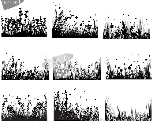 Image of meadow silhouettes