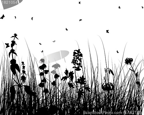 Image of meadow silhouettes