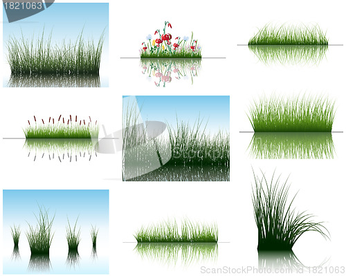 Image of grass on water
