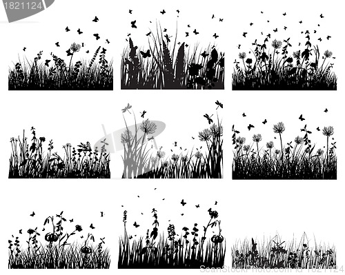 Image of meadow silhouettes