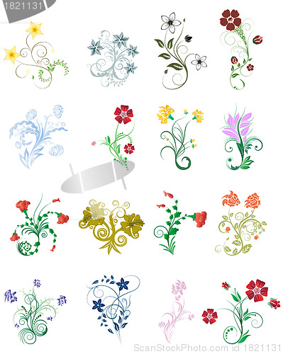 Image of flowers set