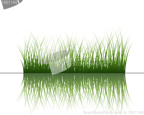 Image of grass on water